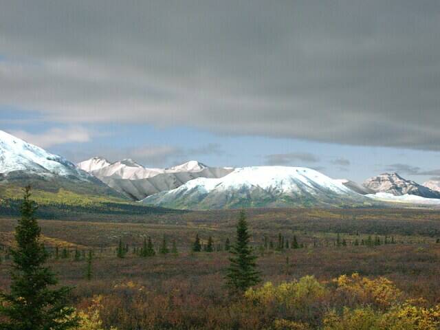 126-denali-park2