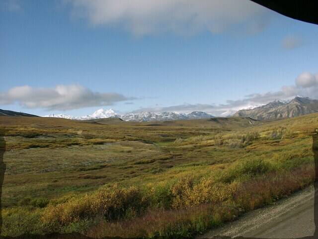 134-denali-park5