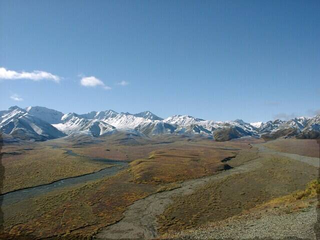 135-denali-park6