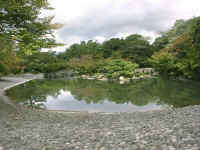 23-10-sento-pond.jpg (113176 bytes)